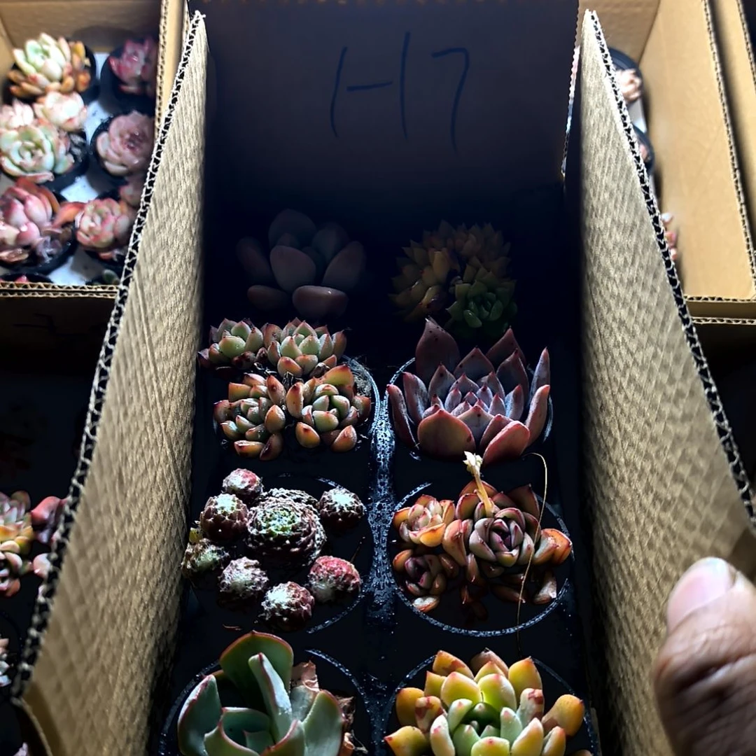 1-17号，，满9元包邮，