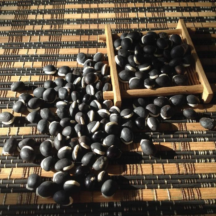 【黑扁豆】100g/500g黑扁豆羊眼豆农家自种黑刀豆扁豆可搭百合