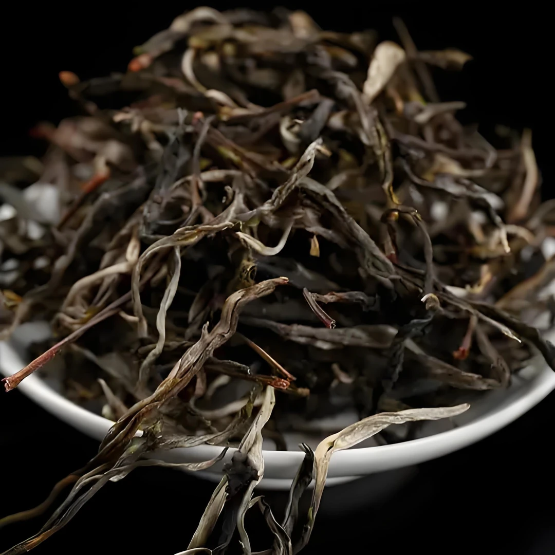 【普洱茶】2025年森林古树春生散茶