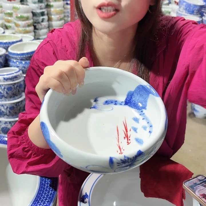 瓷片口径20厘米 高度6厘米