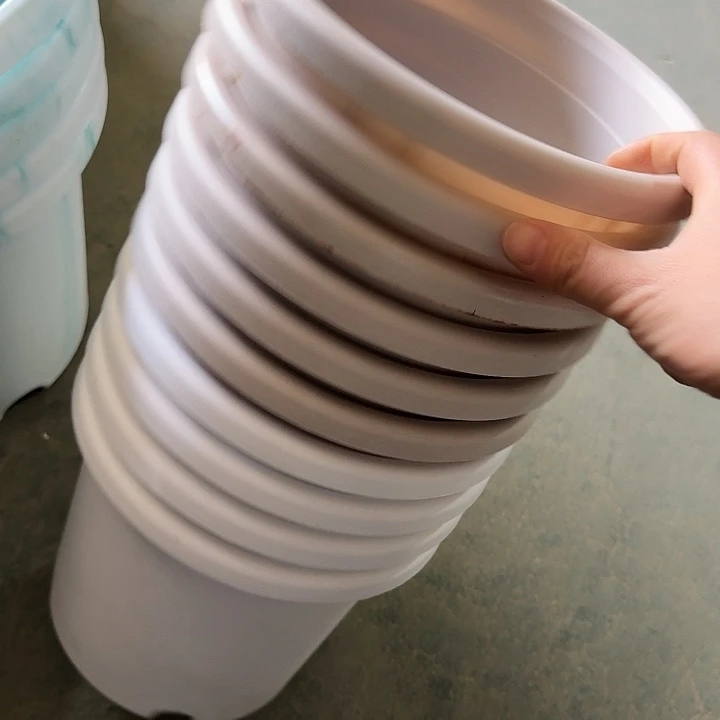 瑕疵3#口径21灰白10个无托