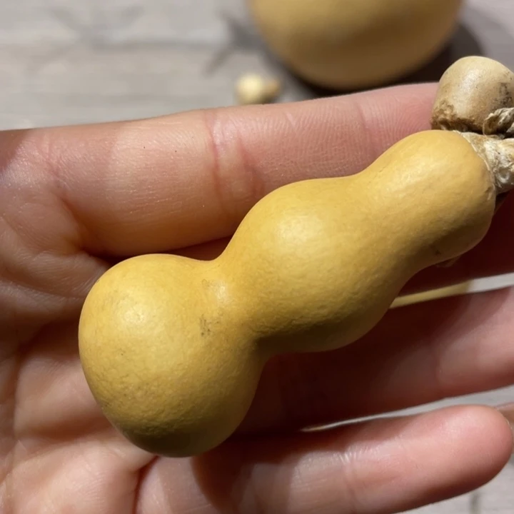 虚*粗嘴葫芦粗嘴葫芦