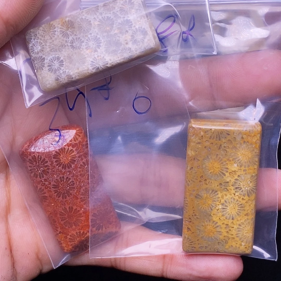 O***g合金珊瑚玉硅化玉