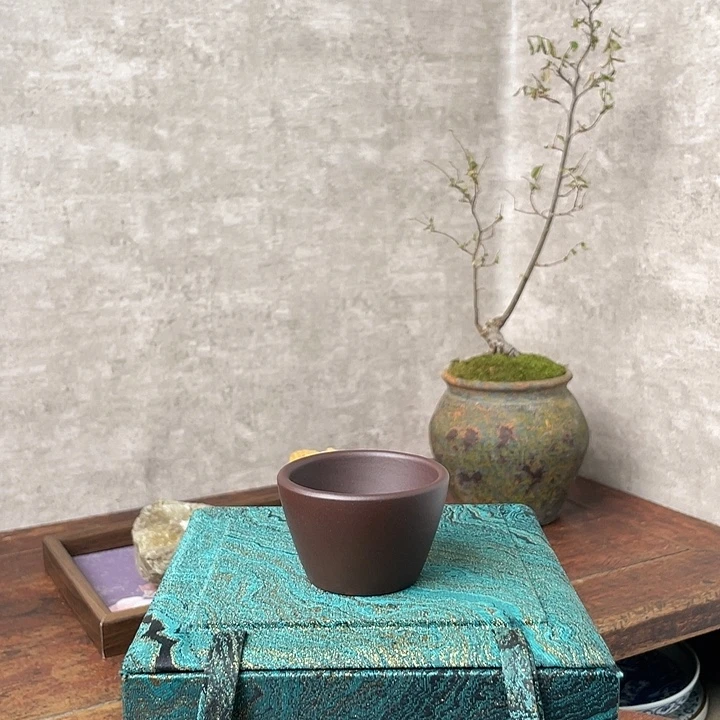 马蹄声中传来一声