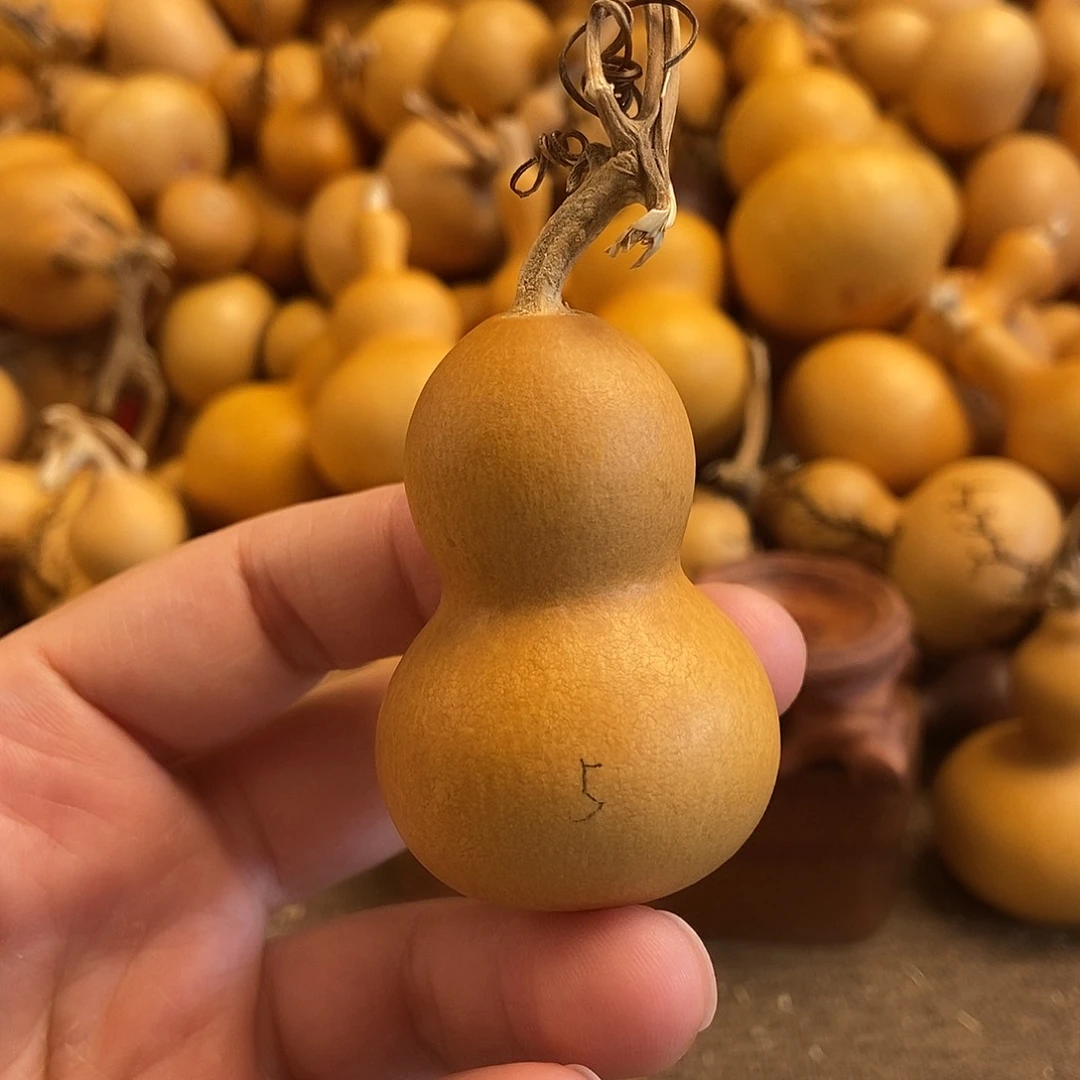 文玩葫芦 完美主义者 慎拍5