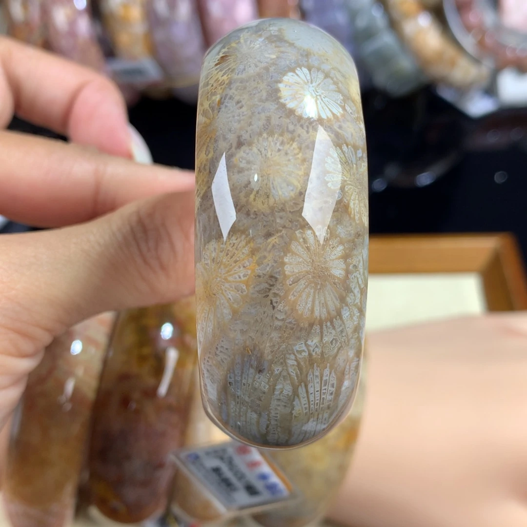 硅化珊瑚（珊瑚玉）未镶嵌吊坠(赠链)22号52圈口