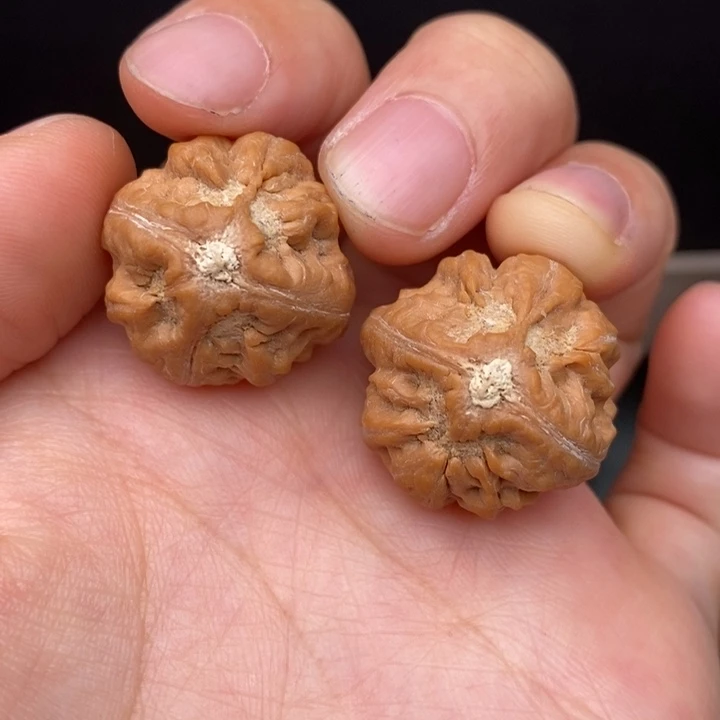 吊坠桃核小金鱼22