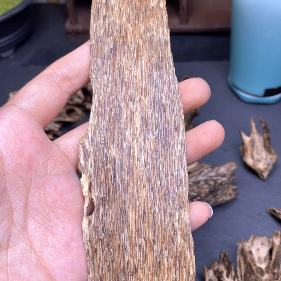 水***日7.6克海南青桂皮油