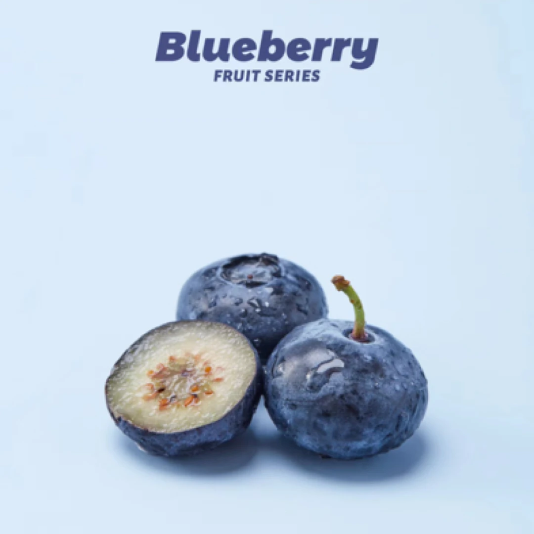 丹东L25花香蓝莓500g（20-22mm）辽宁省