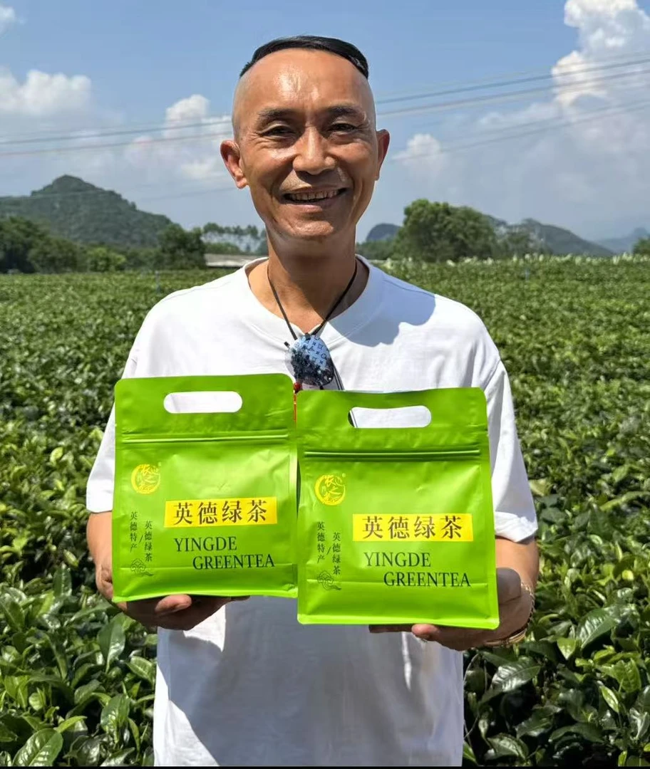 【顺德老潘专属】2025英德传统炒青绿茶清香回甘英德茶厂顺丰包邮