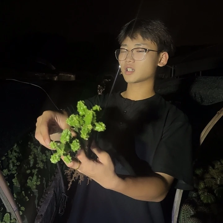 无花朵易*哈哈哈哈哈哈哈