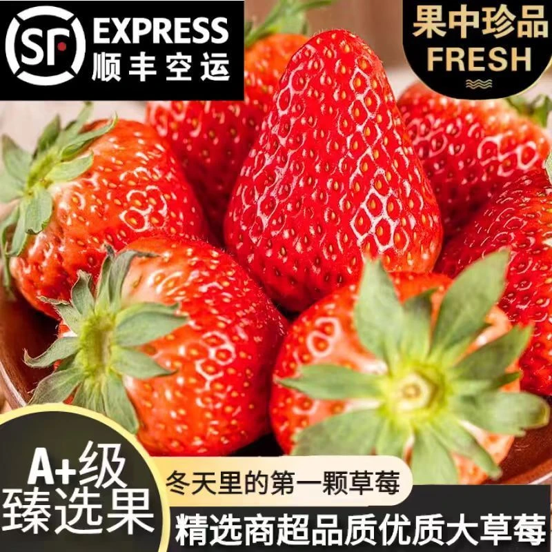 顺丰包邮特大果】辽宁丹东九九鲜草莓礼盒牛奶油红颜白长丰大凉山