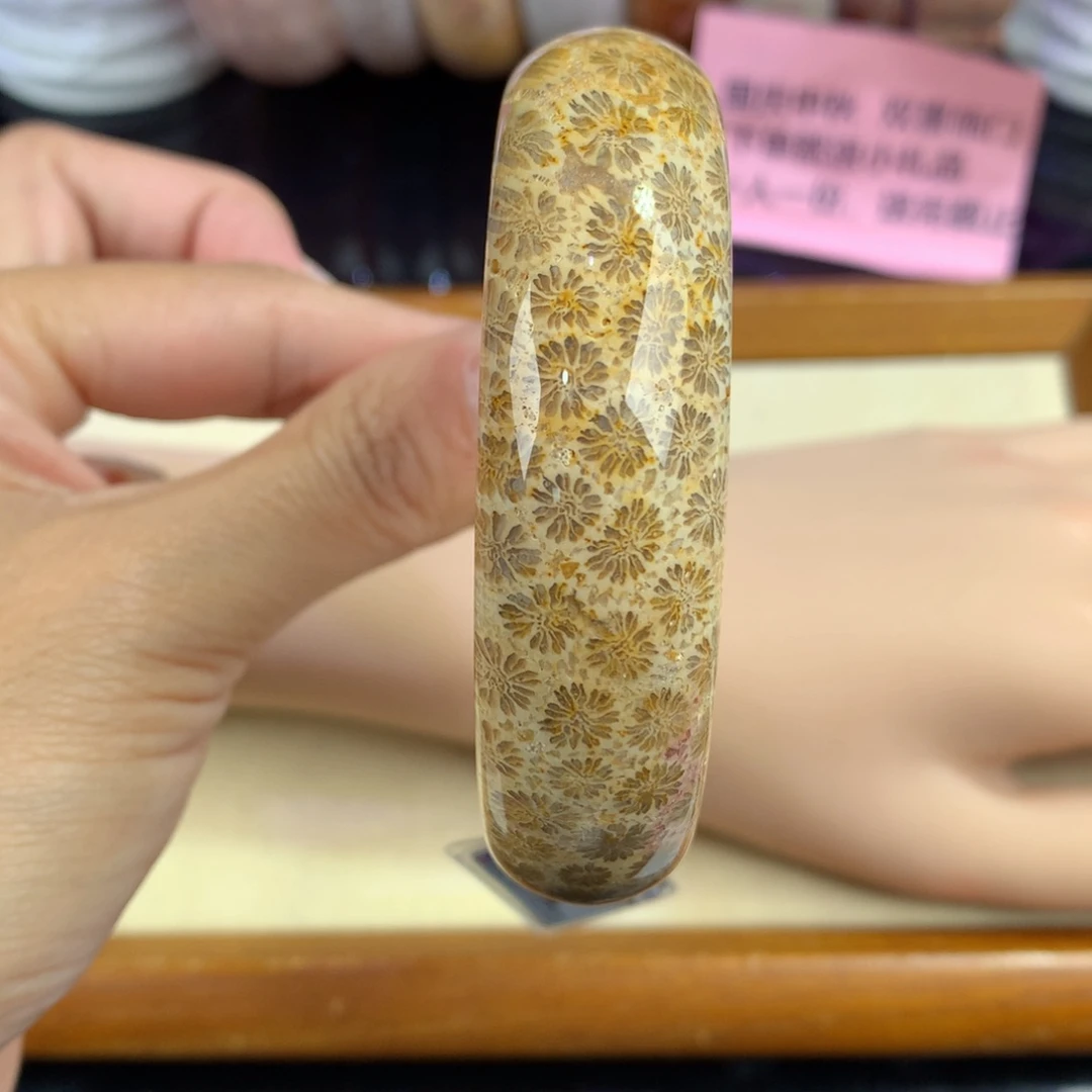 硅化珊瑚（珊瑚玉）未镶嵌吊坠(赠链)20号59圈口