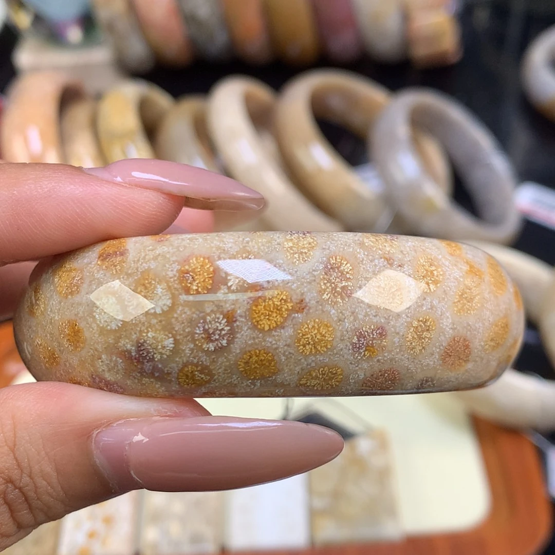 【闪购商品】颈饰未镶嵌硅化珊瑚（珊瑚玉）16号 油画世界 57.7