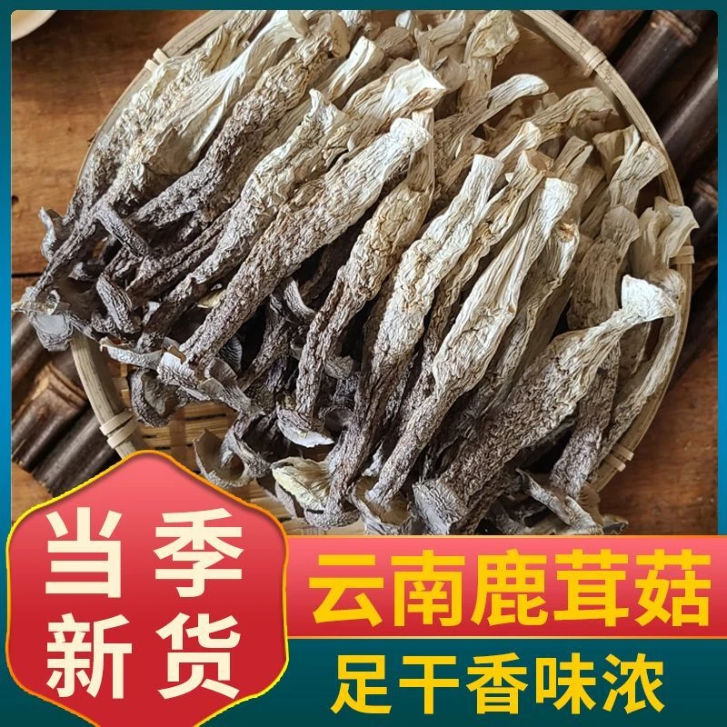 云南鹿茸菇脆脆菇干货