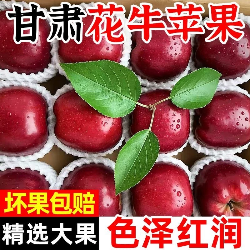 甘肃天水花牛苹果脆粉两吃新鲜水果香甜可口适合宝宝老人