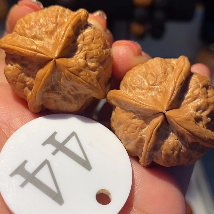 铁核桃大鹏展翅四棱36尺寸