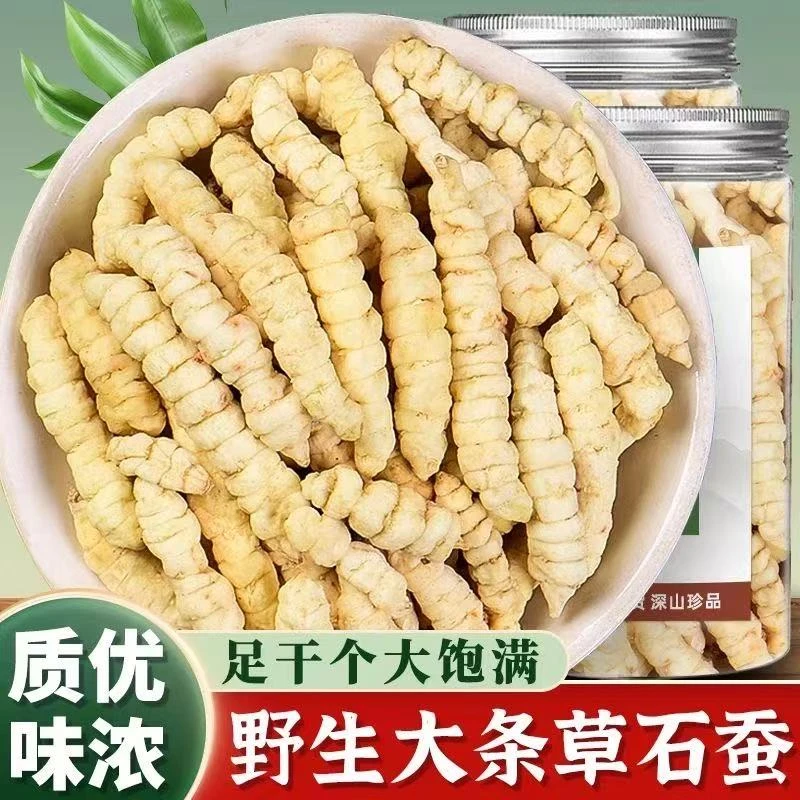 精选白虫草野生新货虫草参草石蚕地蚕土虫草根煮水煲汤泡酒佳品