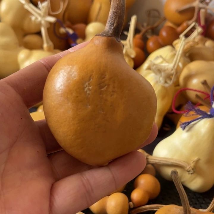 朦***萌葫芦葫哈哈哈哈哈哈哈哈