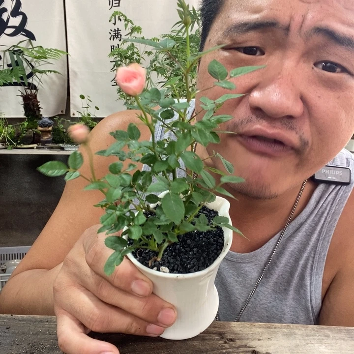 无花朵退款拉黑拉黑125