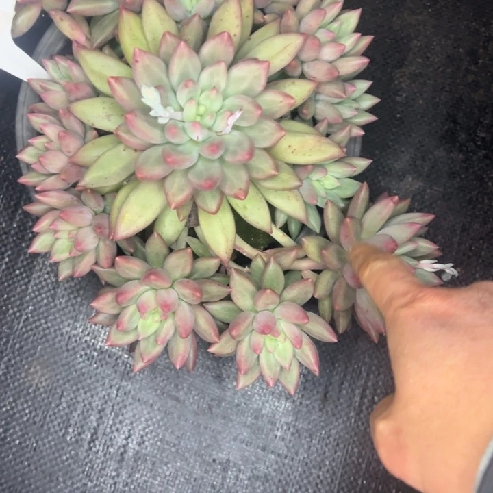 祝***台1421//////////=//////