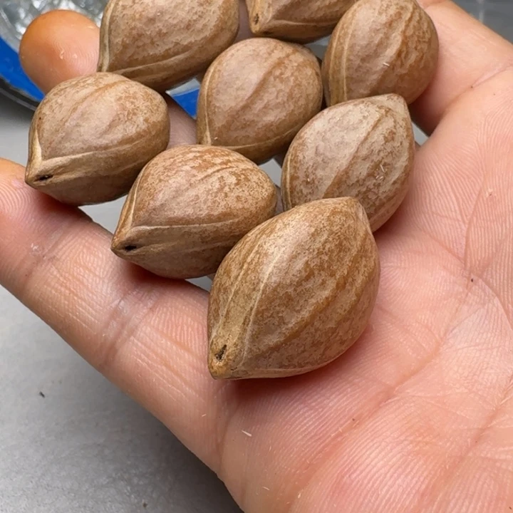 彤***彤橄榄核手串/手链橄榄核2.1