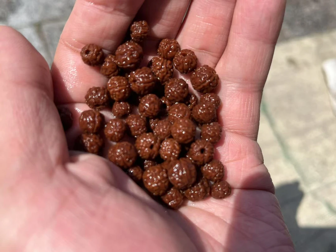 黄点龙黄点龙黄点龙黄点龙黄点龙黄点龙黄点龙黄点龙小金刚