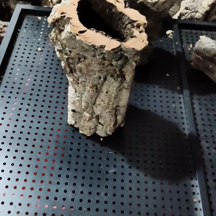 年****一物一拍一物一发
