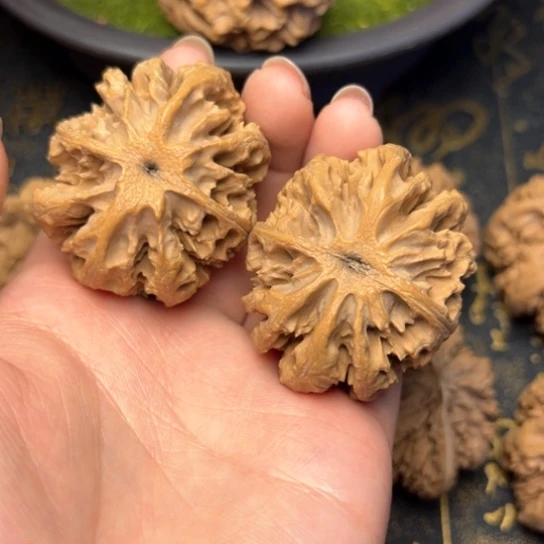 文玩核桃把件秦岭核桃26