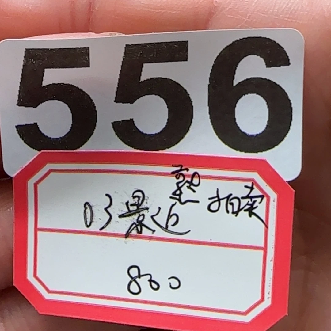 紫砂茶杯B***5556 。。。。。。。。。。。。。。