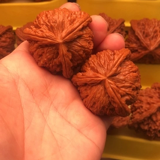 于***超核桃和他的核桃核桃
