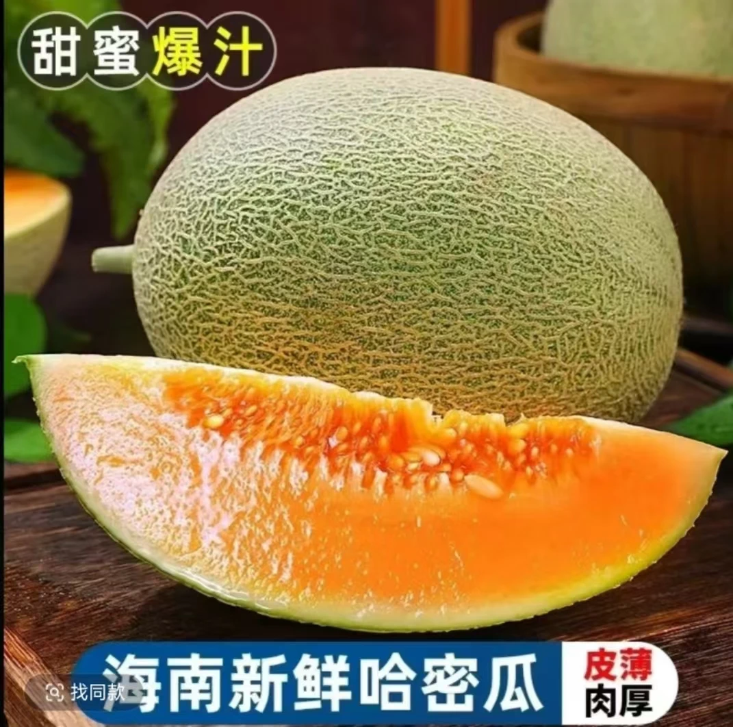 海南直发晓蜜25哈密瓜甜脆爽口新鲜爆汁