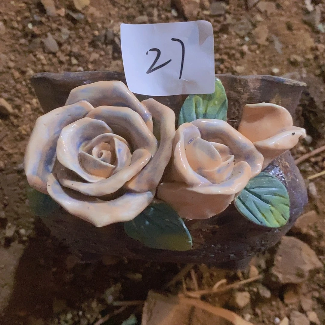 二手花盆链接不包邮