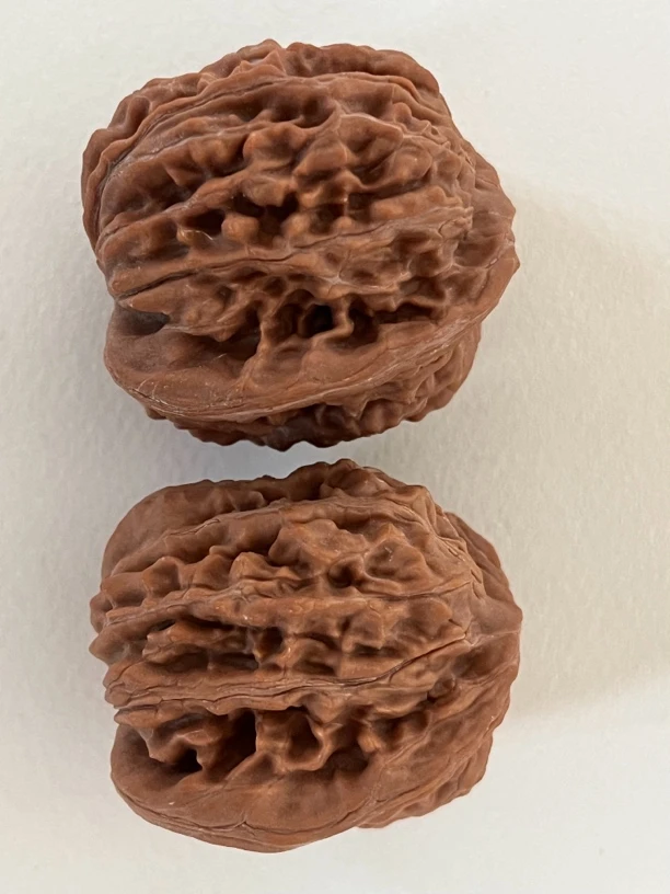 直播间专属链接 狮子头