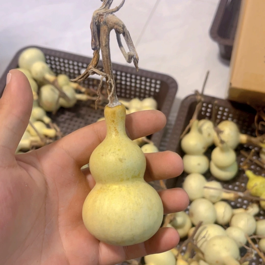 R***.感谢大哥支持兄弟，不保成
