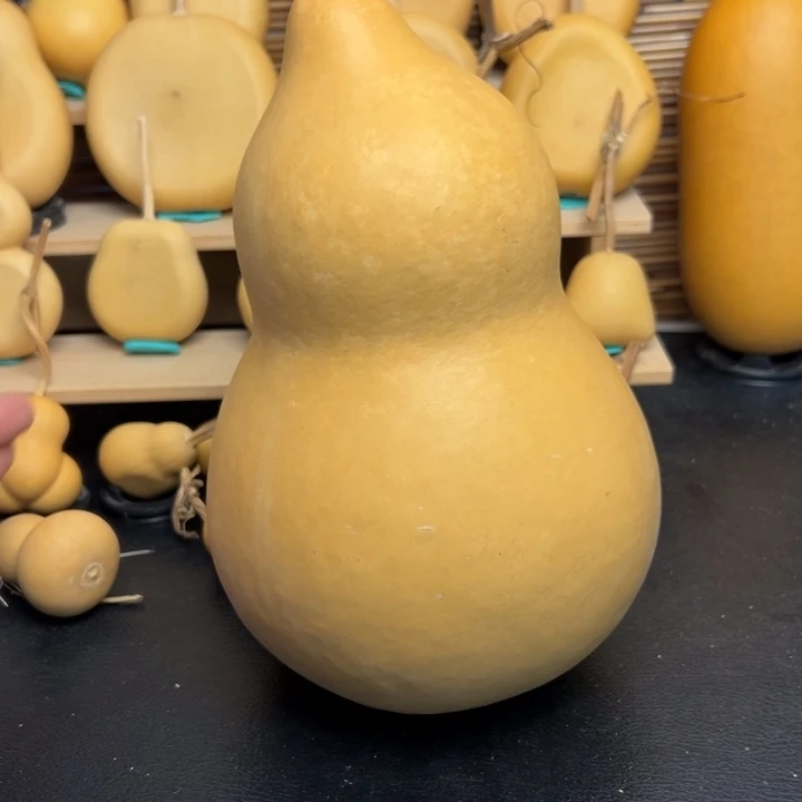 白**长22255556669999