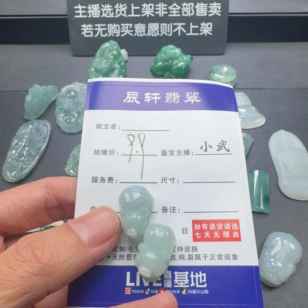 翡翠未镶嵌颈饰    6