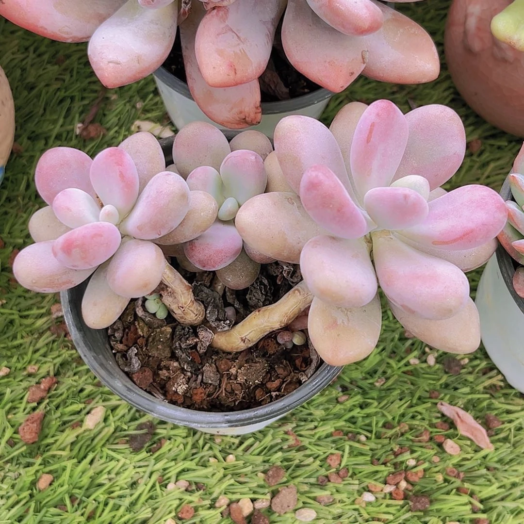 22号7887888888888888888