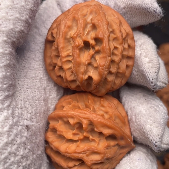 天***情核桃39尺秦岭野生通天纹