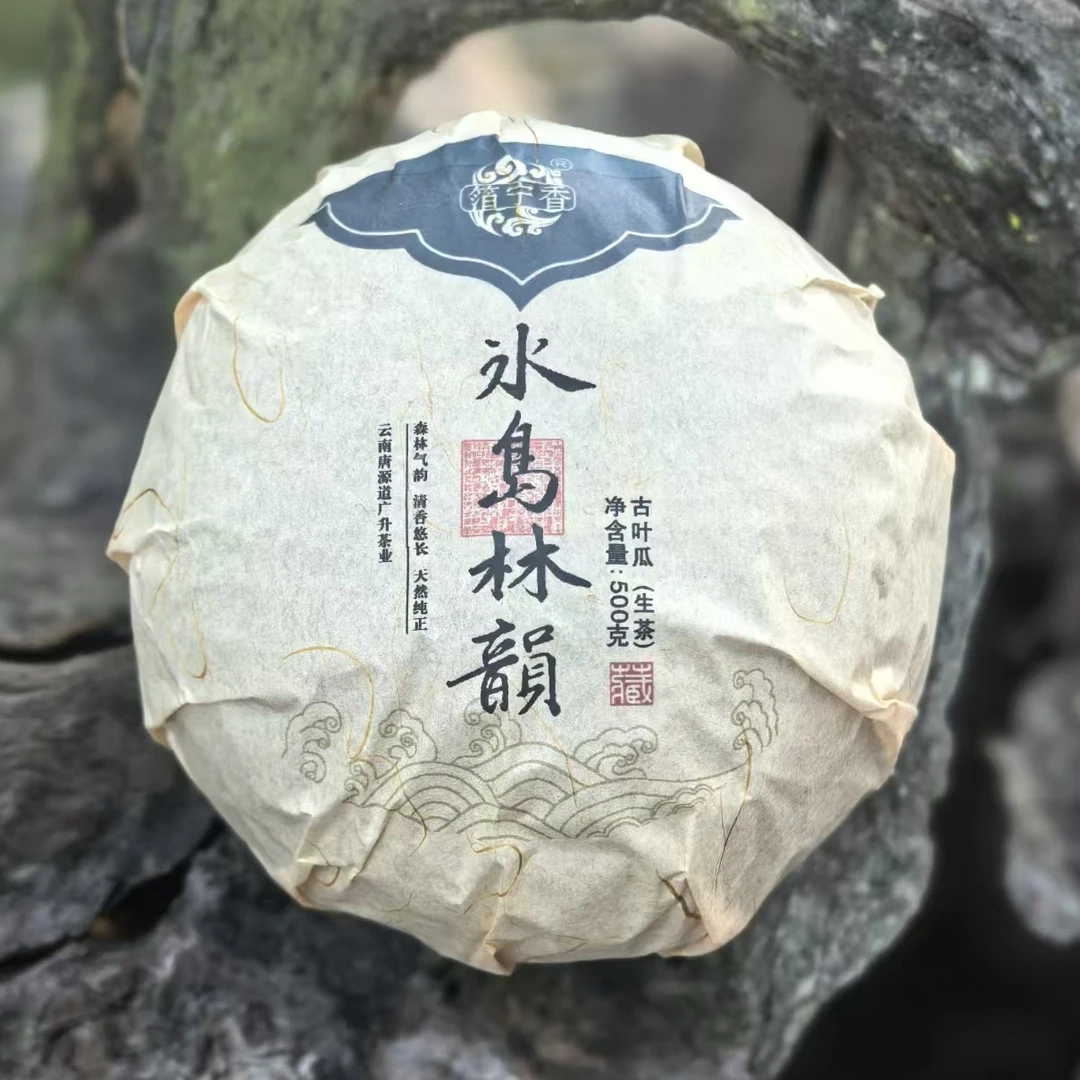 【唐氏】2025年 冰岛林韵 古叶瓜 500克 紧压茶 生茶T