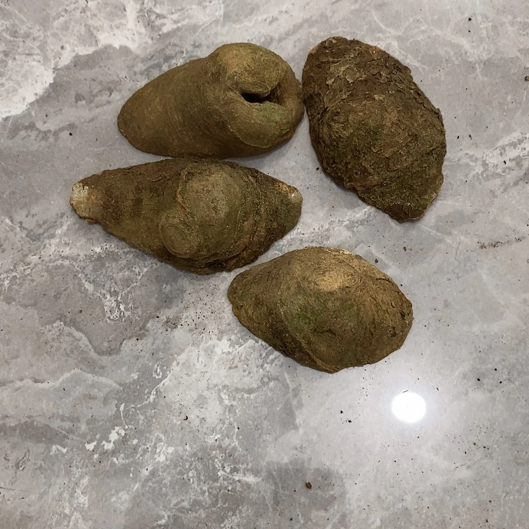 ****常荔枝木荔枝木原料