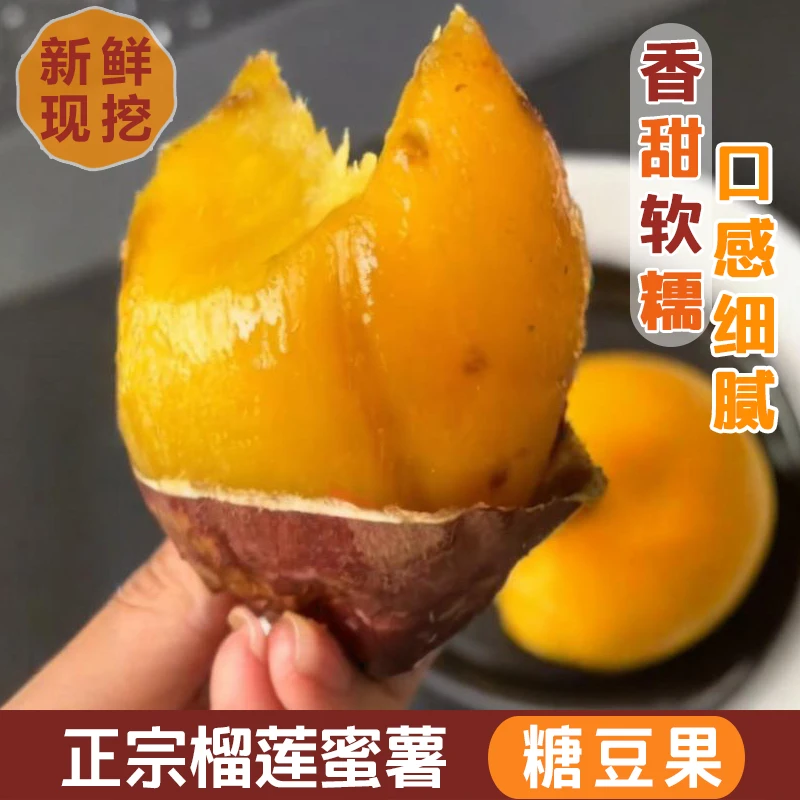 榴莲蜜薯小圆薯 新鲜头茬现挖 香甜软糯