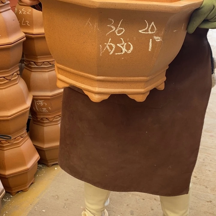 花盆紫砂哈哈哈哈哈