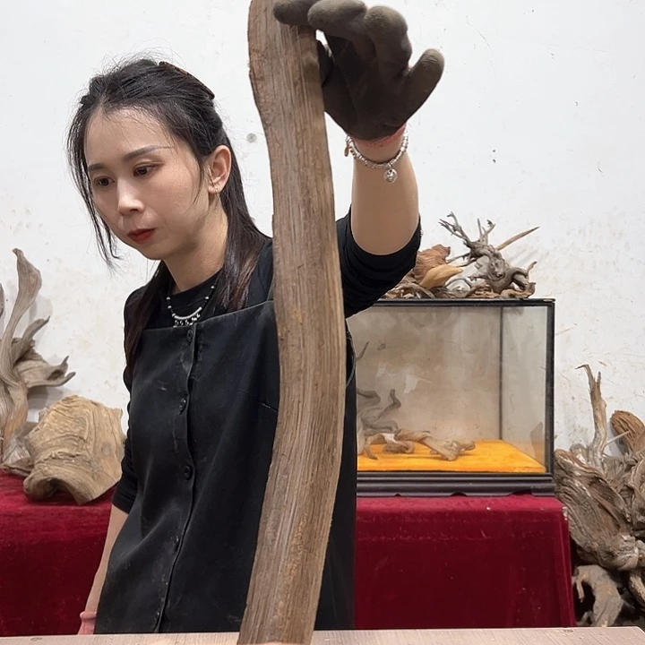 柏木驿**光我们都是好孩子呀我也是