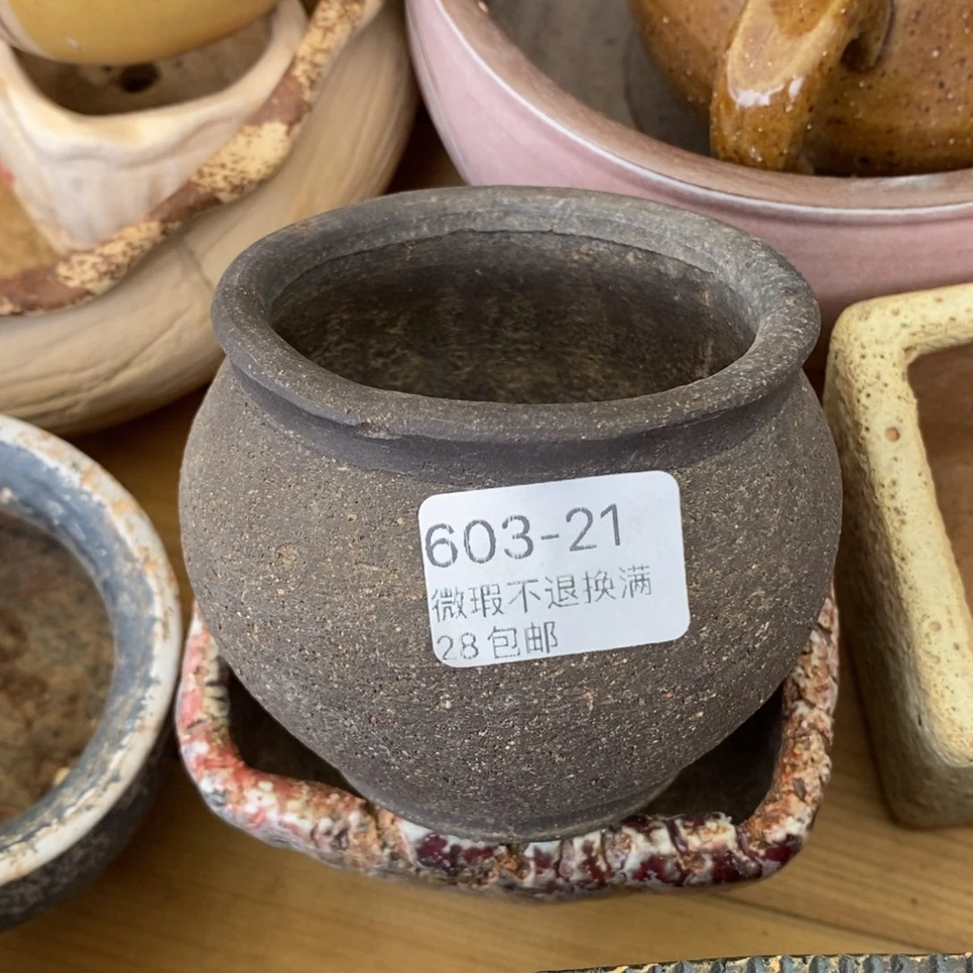 21号多肉盆口径6