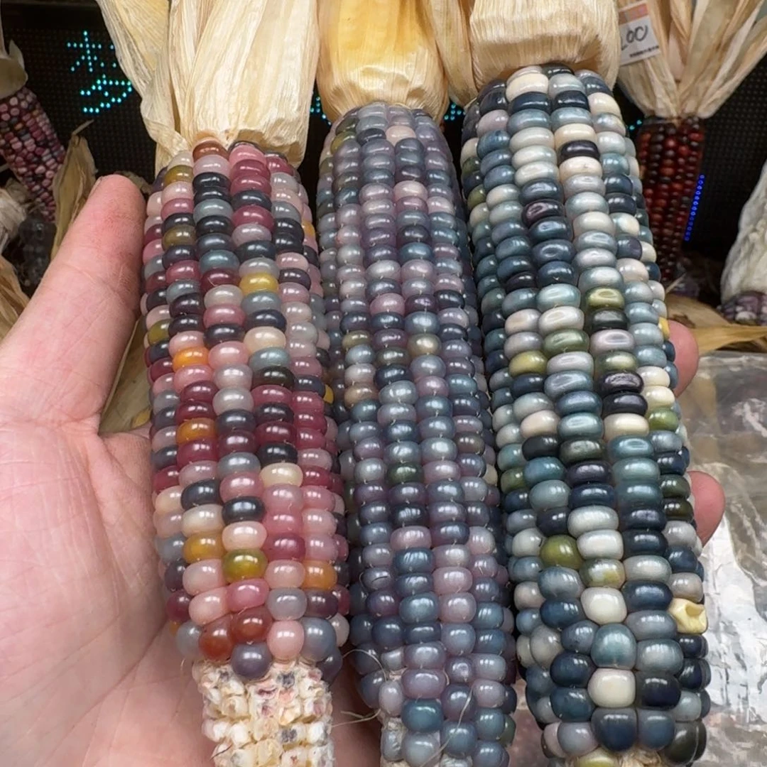 柏香籽/百香籽吊坠梦*梦