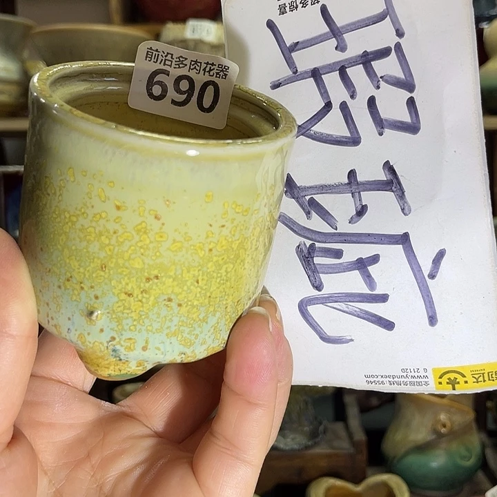 狼盆内口径6高度6