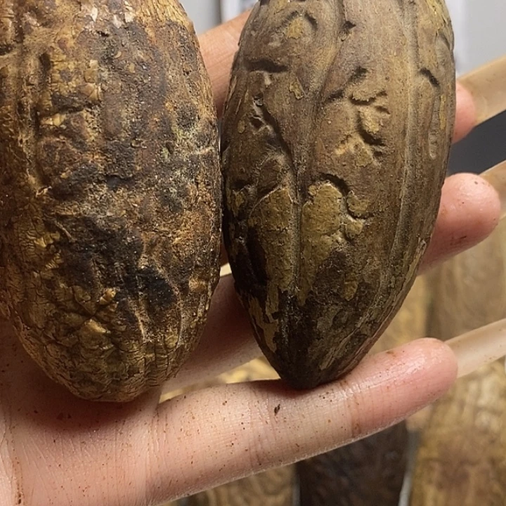 千眼菩提把件菩提