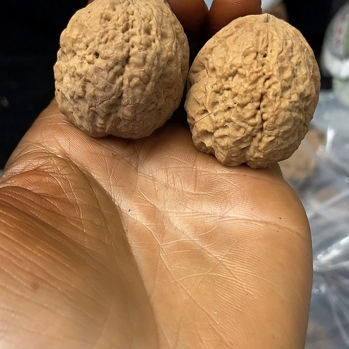 把件文玩核桃云南铁核桃基地98