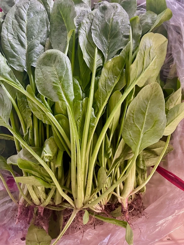 【天津猴瘦瘦农场】新鲜管青菠菜三斤，拍三斤发四斤